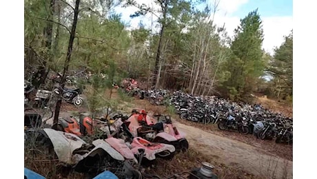 Scoperta shock in un bosco: ritrovati oltre 4mila moto e scooter abbandonati, i danni ambientali sono incalcolabili