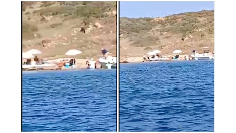 In 15 sbarcano su isola protetta alla Maddalena con sedie e ombrelloni: l'occorrente trasportato dallo yacht