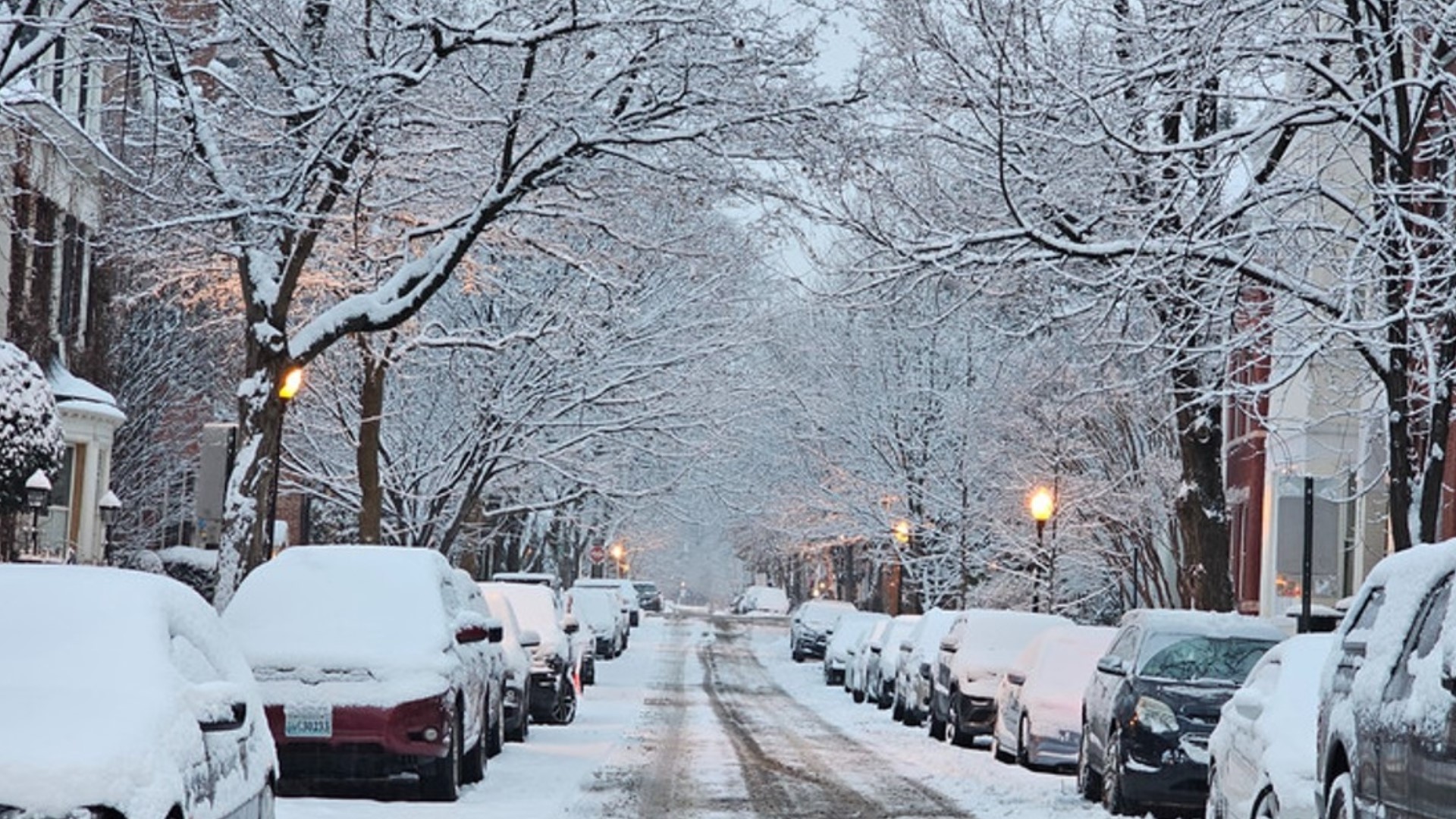 Allerta Meteo Durante Le Feste Di Natale: Vento Forte, Freddo E Neve In ...