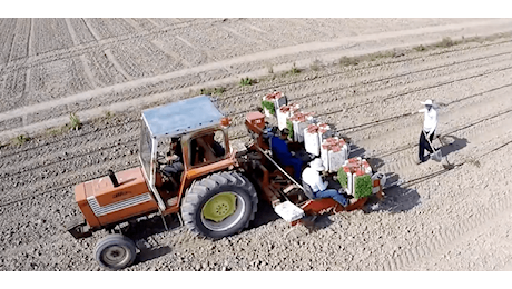 L’Umbria investe 5,5 milioni di euro per il ricambio generazionale in agricoltura