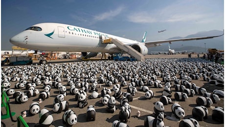 Migliaia di sculture di panda danno il benvenuto ai turisti all’aeroporto di Hong Kong