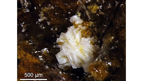 La batoniite, scoperta in Italia, eletta “Minerale dell’Anno” 2023