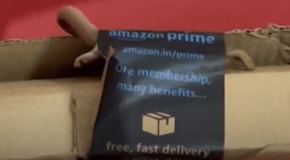 Apre un pacco di Amazon e vi trova all’interno un cobra velenosissimo ancora vivo – VIDEO