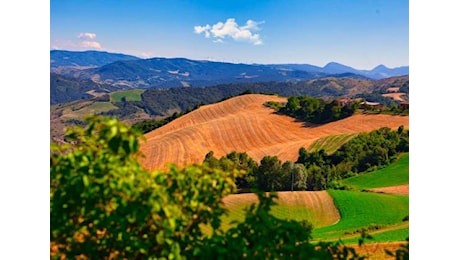 Allerta meteo per vento sull’Appennino romagnolo