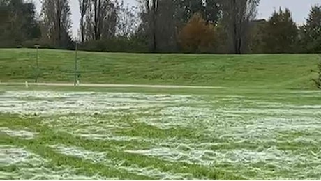 Una gigantesca ragnatela copre il parco a Parma: lo stupore dei cittadini