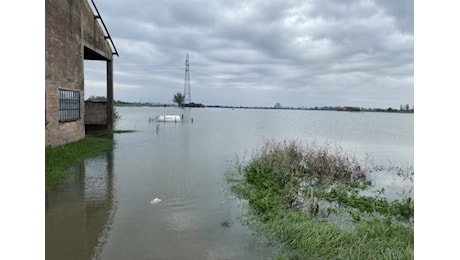 Bastiglia, prati di San Clemente completamente invasi dall'acqua