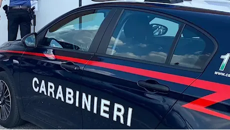 Produzione e traffico di sigarette di contrabbando: una fabbrica sequestrata in Bergamasca