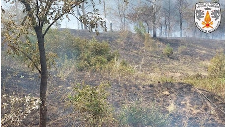 Operaio Arif muore schiacciato da un albero, stava cercando di salvare un ulivo in fiamme a Brindisi