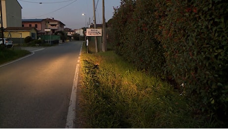 Pensionato trovato senza vita sul ciglio della strada; carabinieri a caccia di un’auto pirata