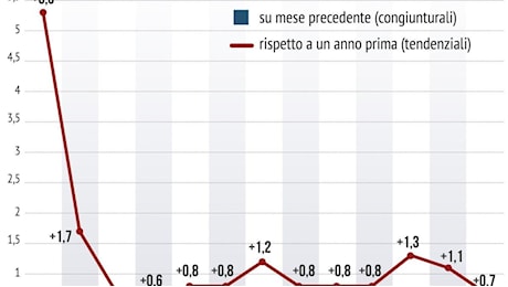 Istat, l'inflazione scende allo 0,7% a settembre: primo calo (-0,2%) mensile dei prezzi nel 2024