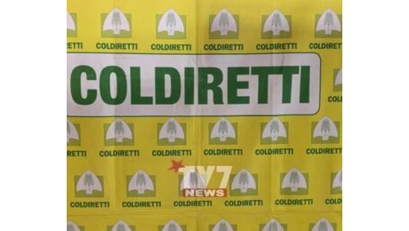 CAPODANNO: COLDIRETTI/IXE' 97 EURO A FAMIGLIA PER IL CENONE, 1 SU 5 FESTEGGIA FUORI CASA