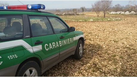 Perdono l’orientamento tra i boschi dei monti Aurunci, recuperati dai Carabinieri Forestali