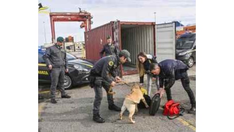 Traffico internazionale di droga, eseguite 30 misure coercitive personali