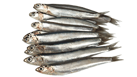 Sostituire la carne rossa con le sardine per migliorare la salute