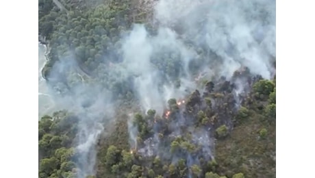 Incendio nel Gargano vicino a una struttura turistica: paura per 2mila persone
