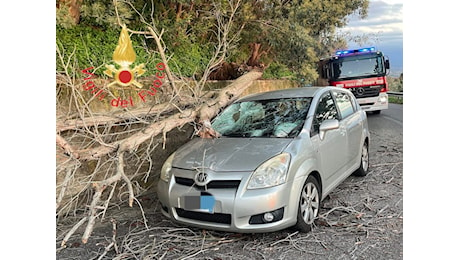 A Gizzeria albero cade su un’auto, due feriti