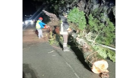 Maltempo a Genova, forti raffiche di vento e decine di interventi dei Vigili del Fuoco