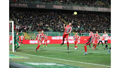 Catanzaro-Cremonese, i convocati di mister Stroppa