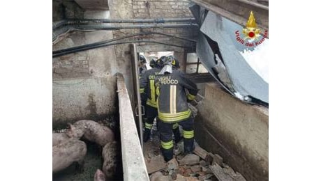 Una settantina nel modenese gli interventi dei vigili del fuoco a seguito delle forti nevicate