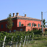 RIDI PER ..BACCO! alla TENUTA SANTINI di CORIANO (RN)